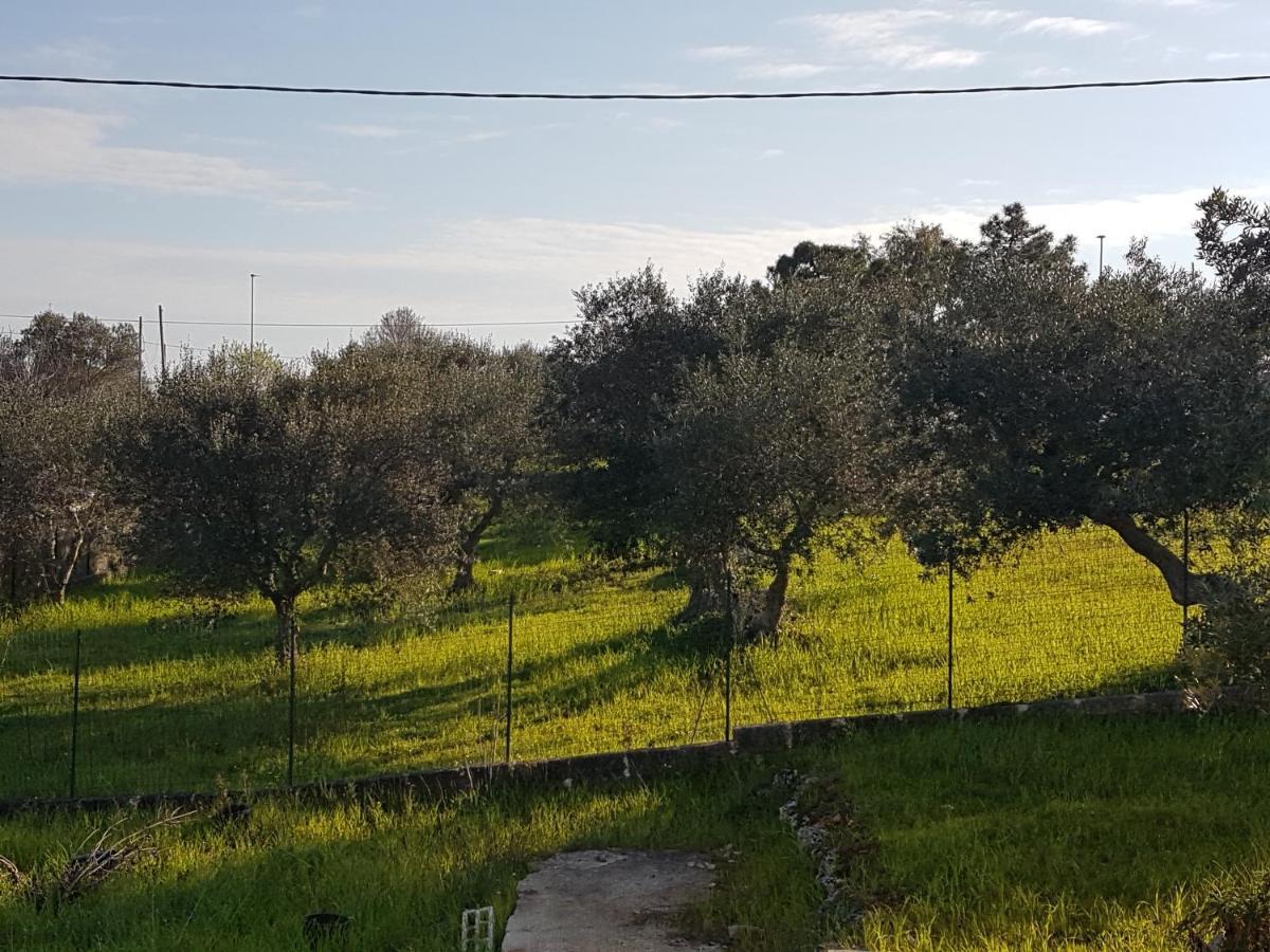 Appartamento Puccini Fasano Dış mekan fotoğraf